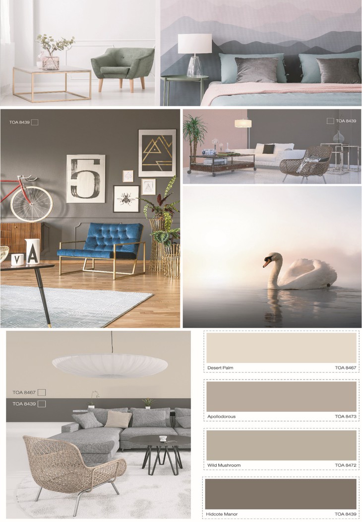 Xu hướng sắc màu năm 2019 - TOA The Color Story - Ảnh 6.