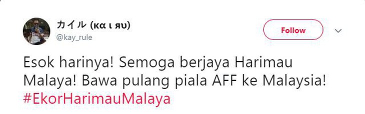 CĐV Malaysia đã cảm nhận mùi vị cúp vàng - Ảnh 4.