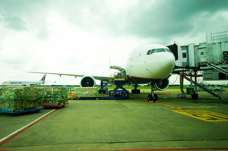 Hãng hàng không ngoại tăng tốc mở đường bay vào Việt Nam - Ảnh 1. Hãng hàng không ngoại tăng tốc mở đường bay vào Việt Nam - Ảnh 1.