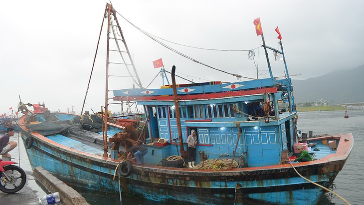 tau ca da nang  28-12