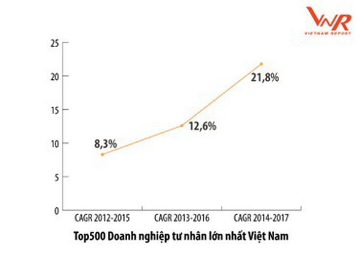 Doanh nghiệp tư nhân làm ăn ngày càng hiệu quả - Ảnh 1.