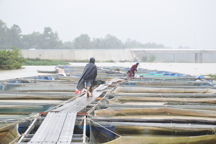 Nước lũ sông Bàn Thạch dâng cao, 40 lồng cá bị cuốn trôi - Ảnh 2.