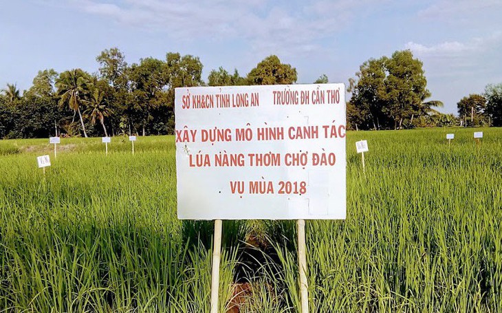 Từ chuyện 