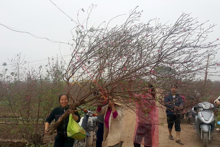 Mẹ ơi thế giới mênh mông nhưng con phải quay về  - Ảnh 1.