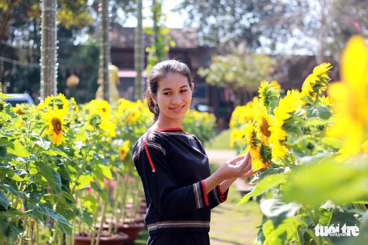 Buôn Ma Thuột lần đầu làm đường hoa đón tết - Ảnh 7.