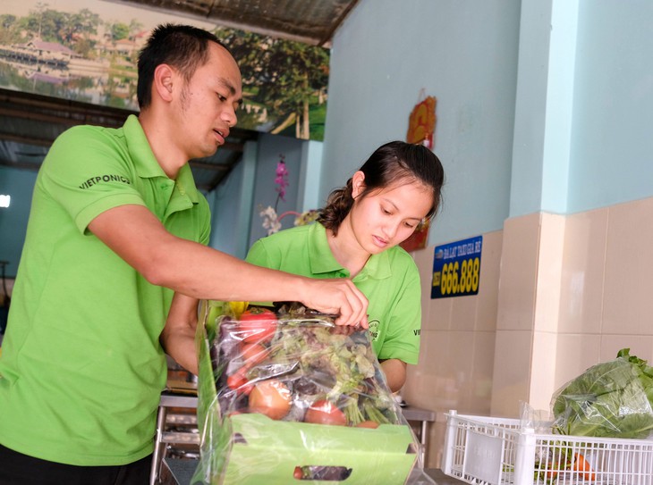 Tết Mậu Tuất, rau Đà Lạt dồi dào, giá không tăng - Ảnh 2.