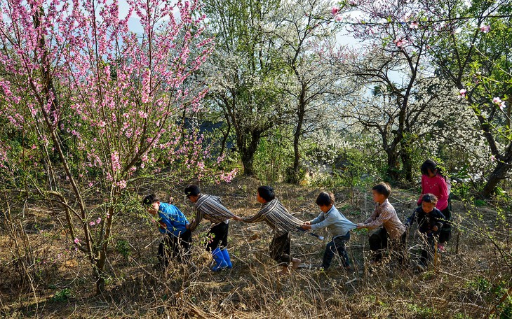 Tết vùng cao: mời gọi du khách ăn Tết cùng dân bản - Ảnh 13.