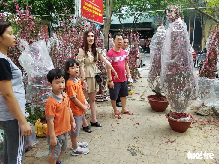 27 Tết: Đào Bắc giảm giá, dân Sài Gòn đổ xô lựa mua - Ảnh 1. 27 Tết: Đào Bắc giảm giá, dân Sài Gòn đổ xô lựa mua - Ảnh 1.
