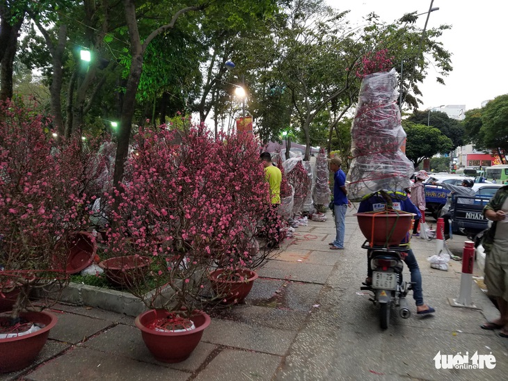 27 Tết: Đào Bắc giảm giá, dân Sài Gòn đổ xô lựa mua - Ảnh 3. 27 Tết: Đào Bắc giảm giá, dân Sài Gòn đổ xô lựa mua - Ảnh 3.