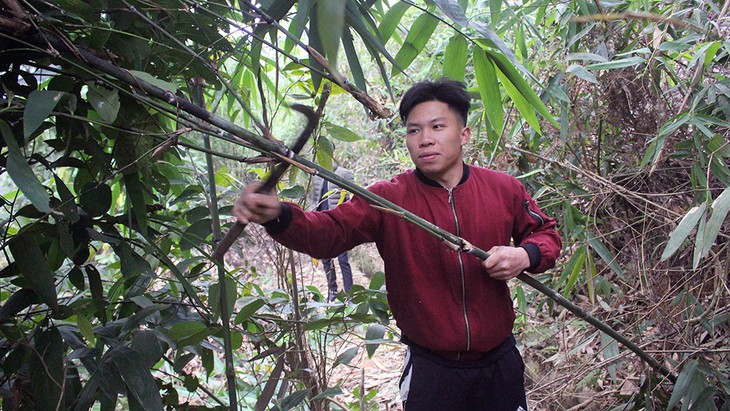 Theo chân người Tày vào rừng lấy cây nêu đón Tết - Ảnh 4.