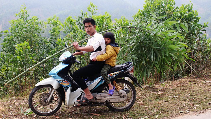 Theo chân người Tày vào rừng lấy cây nêu đón Tết - Ảnh 8.