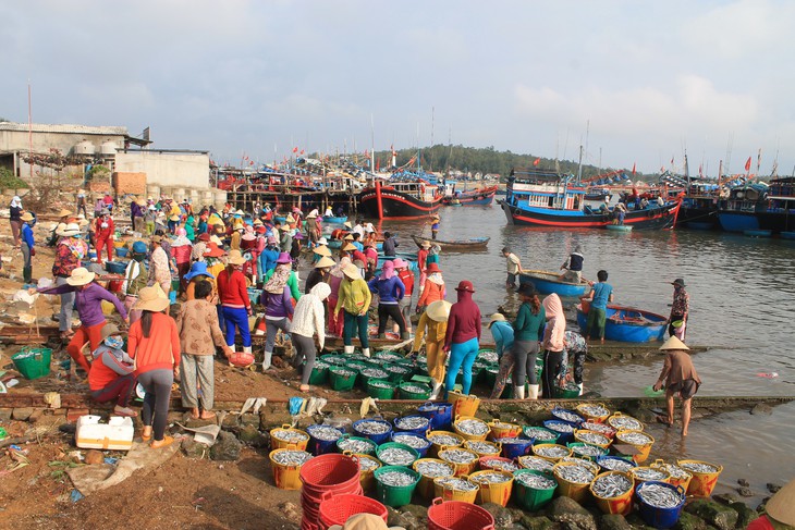 Mở biển, ngư dân trúng đậm cá cơm, mỗi đêm lời trăm triệu - Ảnh 6.