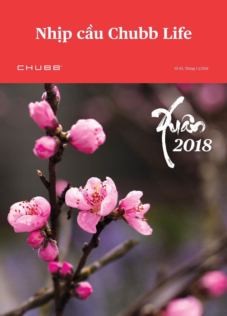 Chubb Life – Một năm nhìn lại - Ảnh 1.