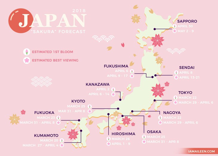 Đi Nhật Bản ngắm hoa anh đào ở đâu đẹp nhất? - Ảnh 1.