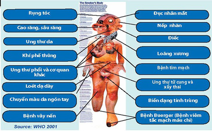 Tác hại của thuốc lá trên cơ thể con người - Ảnh 1.