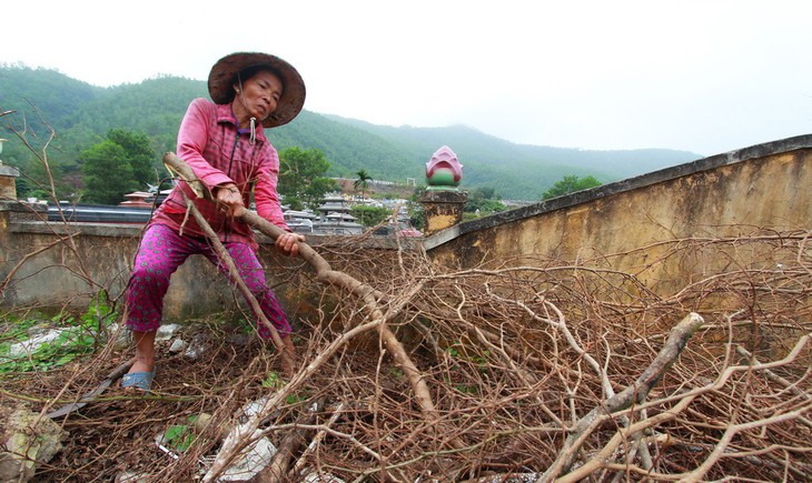 Sống bên nghĩa trang - Ảnh 3.