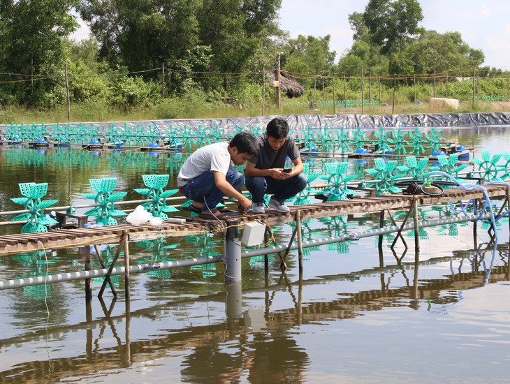 TP.HCM công bố giải thưởng Istar tôn vinh khởi nghiệp - Ảnh 1.