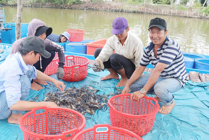 Chuyển đổi để thích nghi - Ảnh 2.