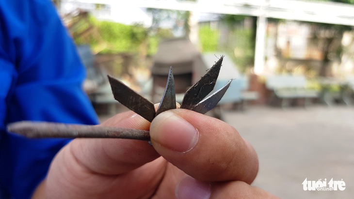 Đinh xuất hiện trên quốc lộ 1, chính quyền ra tay thu gom - Ảnh 2.