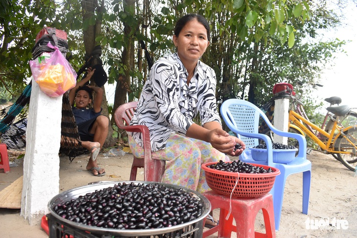 Trúng mùa, bà con Bảy Núi vui vẻ bán trâm, trường mỏi tay - Ảnh 3.