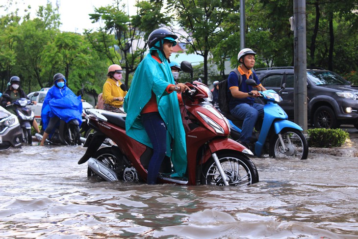 TP.HCM sẽ còn ngập dài dài vì cái gì cũng thiếu và yếu - Ảnh 1.