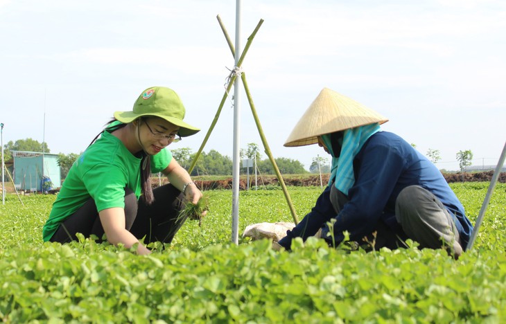 Hai bạn trẻ khởi nghiệp với bột rau từ nguyên liệu sạch - Ảnh 1.