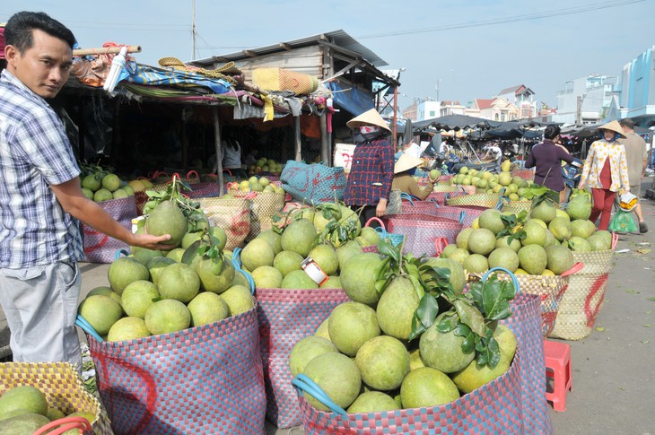 “Mỏ trái cây” đồng bằng - Ảnh 1.