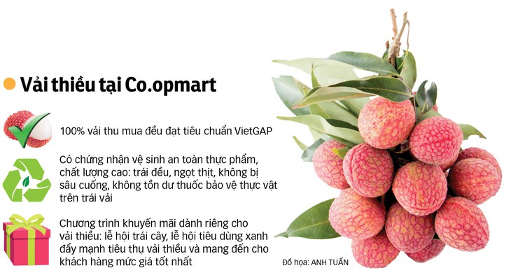 Mua vải thiều tiêu chuẩn, giá tốt tại Co.opmart - Ảnh 2.