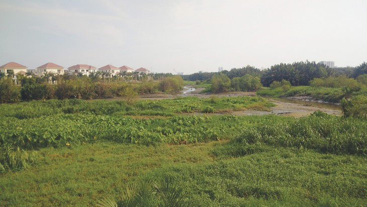 Có nên mua đất nền lúc này? - Ảnh 1.