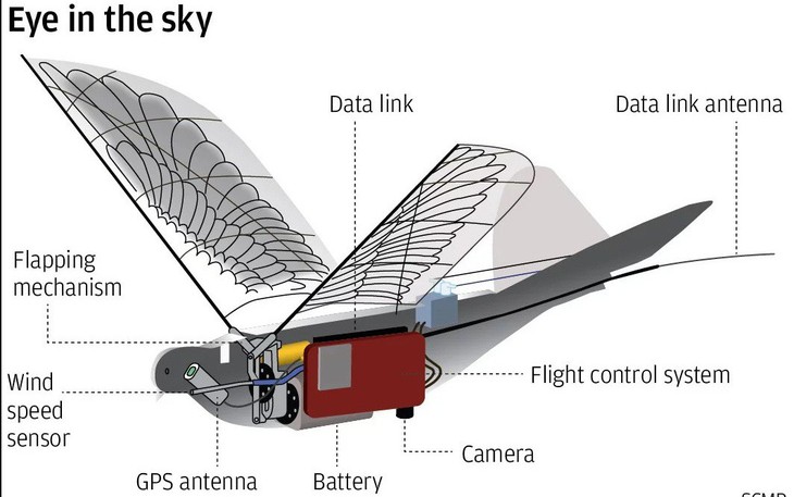 Trung Quốc giám sát người dân bằng drone robot hình chim