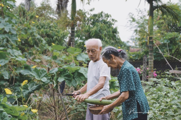 Ngày gia đình Việt Nam: ngỡ ngàng bộ ảnh Ông bà anh - Ảnh 5.