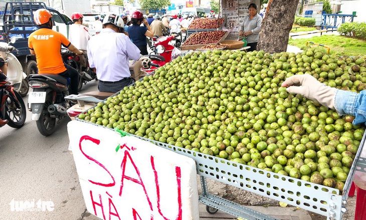 Theo chân thợ sấu đêm Hà Thành - Ảnh 1.