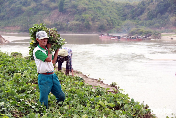 Công ty thủy điện phải bỏ tiền cho tỉnh vá bờ sông - Ảnh 5. Công ty thủy điện phải bỏ tiền cho tỉnh vá bờ sông - Ảnh 5.
