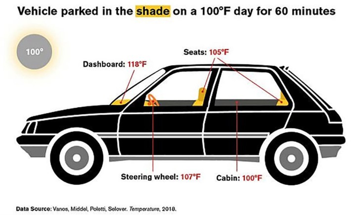 Xe hơi để ngoài trời nắng nóng có thể gây chết người trong vòng 1 giờ - Ảnh 1.