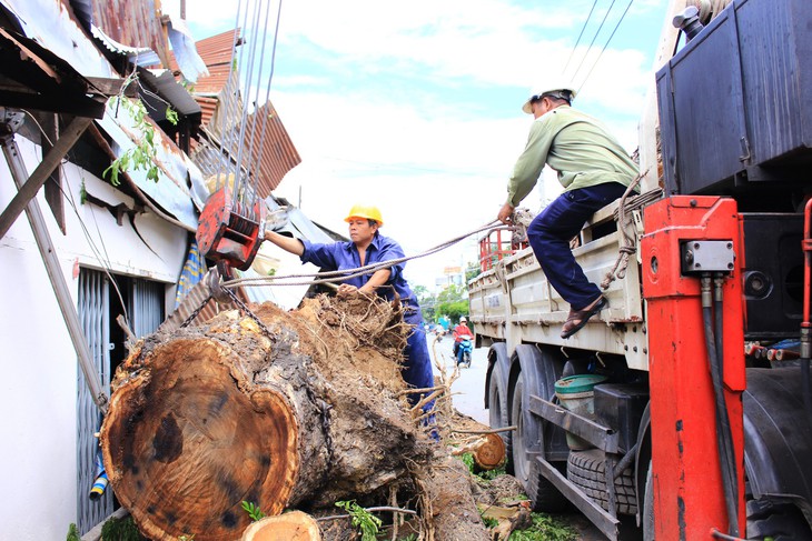 Cây cổ thụ bật gốc ngã đè nhà dân, một em nhỏ bị thương - Ảnh 3.