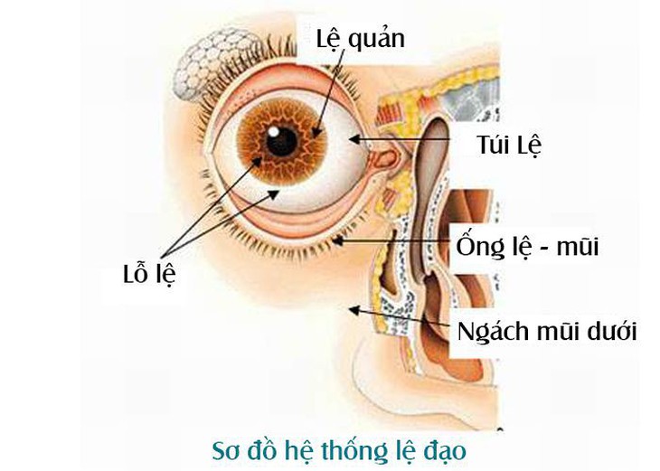 Chấn thương lệ đạo - Ảnh 1.