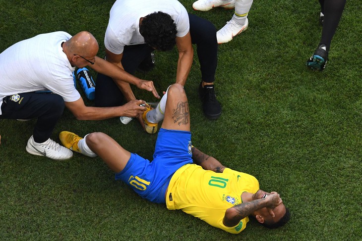 Khi chó mèo biết té và ăn vạ giống Neymar ở World Cup - Ảnh 1.