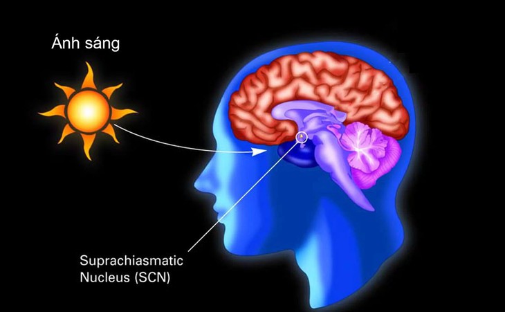 Được cứu khỏi hang tối, cầu thủ nhí Thái Lan đối mặt nhiều vấn đề - Ảnh 3.