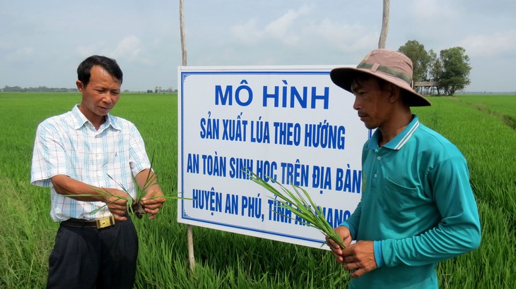 Nông nghiệp không hóa chất vẫn sống khỏe - Ảnh 2.