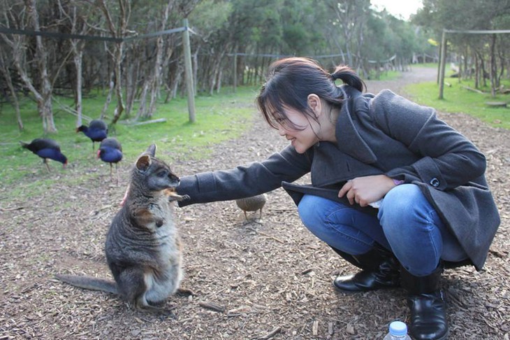 Đường đến Sydney - Ảnh 1.