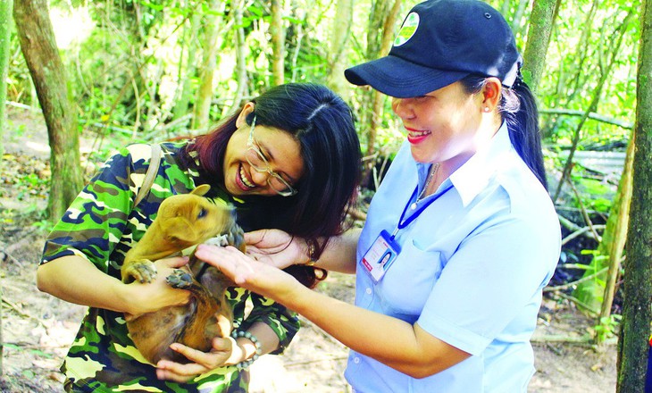 Tuấn Chó và hành trình gian nan bảo tồn chó xoáy Phú Quốc - Ảnh 3.