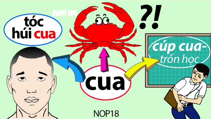 Gò, o, cua, cái ve ve - Ảnh 1.