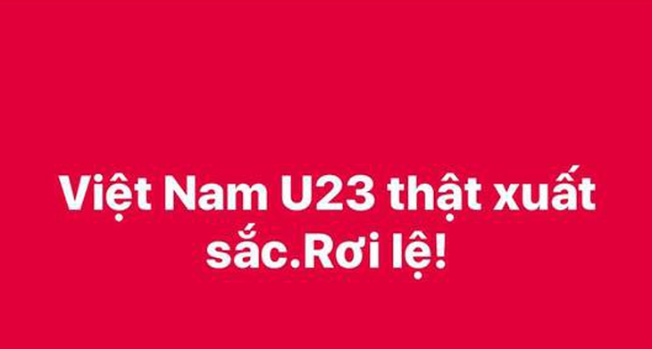 Mỹ Tâm, Đàm Vĩnh Hưng cầm cờ đi bão mừng chiến thắng U-23 VN - Ảnh 13.