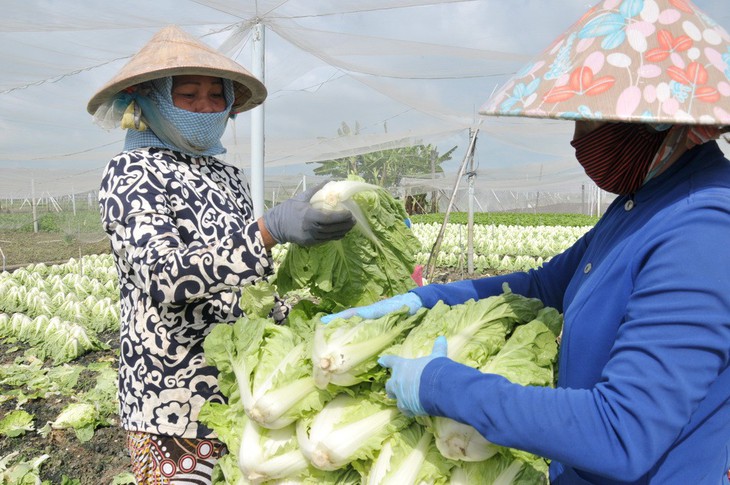 Ép tiêu chuẩn cao để có thực phẩm sạch - Ảnh 1.