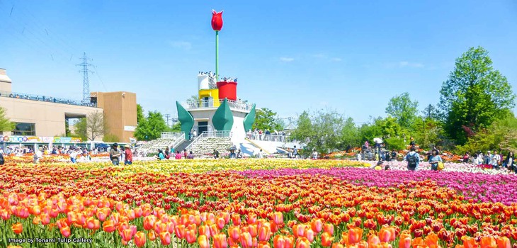 Cung điện hoa tulip rực rỡ ở Nhật Bản - Ảnh 8.