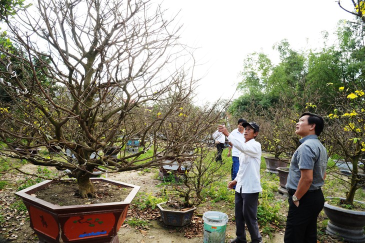 Cho thuê mai, bỏ túi gần tỉ đồng - Ảnh 1.