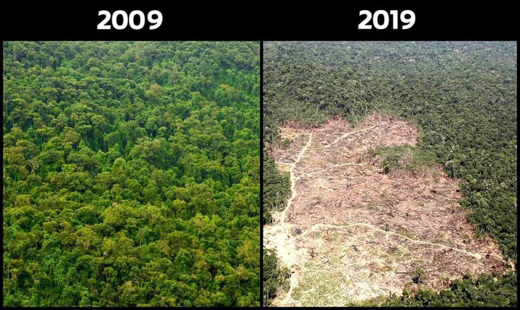 #10yearschallenge: Thiên nhiên đã mất đi thế nào trong 10 năm qua? - Ảnh 5.