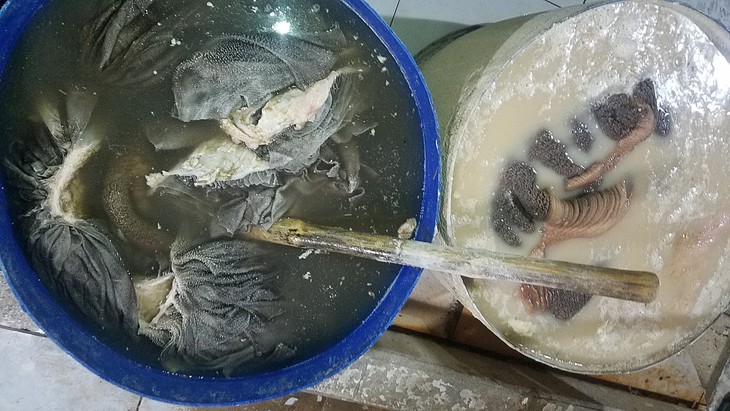 Sách bò ngâm vôi bột cho trắng để phục vụ khách - Ảnh 1. Sách bò ngâm vôi bột cho trắng để phục vụ khách - Ảnh 1.