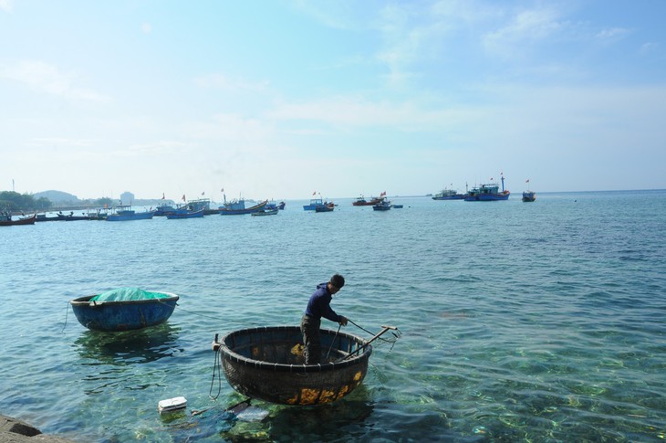 Lấn biển Lý Sơn, doanh nghiệp và chính quyền nói gì? - Ảnh 3.