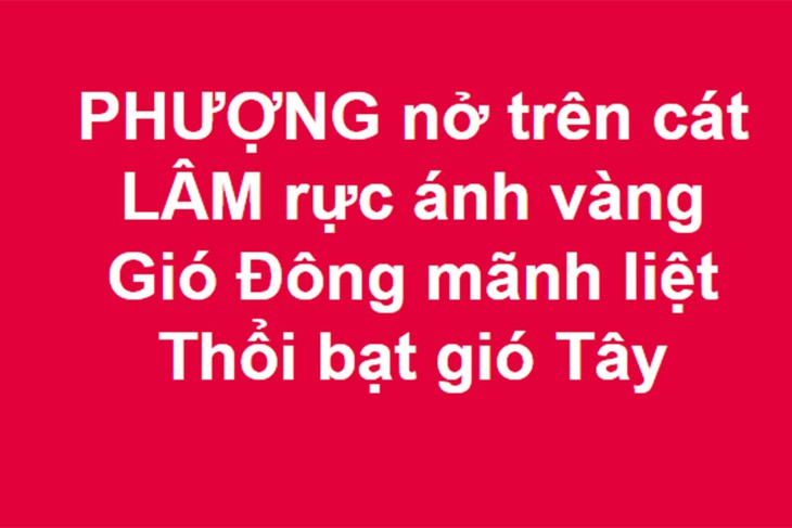 Cư dân mạng: Jordan không thể thắng Việt Nam vì lý do gì? - Ảnh 11.